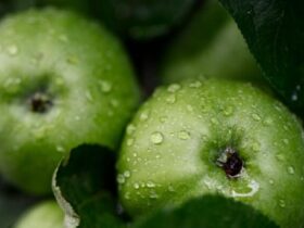 8fa93f8a4a75f2563152b31c1bb9619c