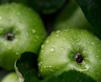 8fa93f8a4a75f2563152b31c1bb9619c