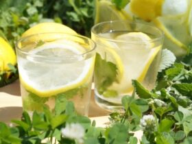 25fc16c9e5c6419dd3a639c61dceff0e