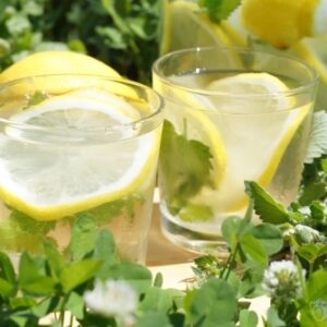 25fc16c9e5c6419dd3a639c61dceff0e