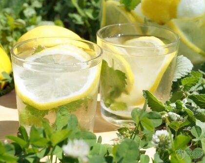 25fc16c9e5c6419dd3a639c61dceff0e