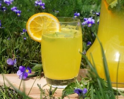 363a7491327eb38a91bca073609a5883