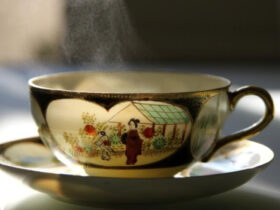 62a2c60498b0e14333a45906c16d2088