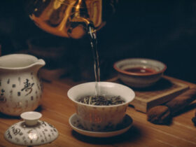 63c880ca918a331c28733be961b326ab