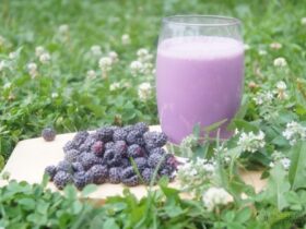 a1bd0b68a8bdbfd365df0f7d85fb5d51