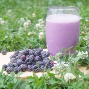 a1bd0b68a8bdbfd365df0f7d85fb5d51