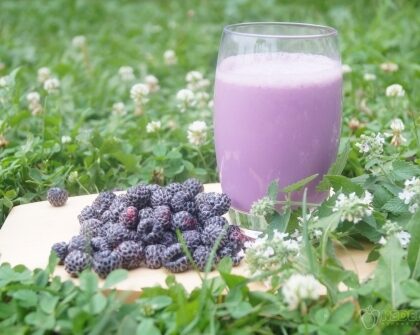 a1bd0b68a8bdbfd365df0f7d85fb5d51